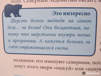 Ярослава Соколова: Хочу знать. Медведи
