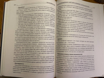 Алина Гасумянова: Неслучайная идея:  от проекта к делу:  из хобби в бизнес за 100 дней