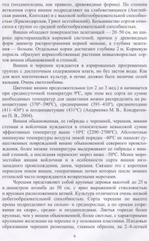 Константин Лактионов: Частное плодоводство. Косточковые культуры. Учебное пособие для СПО
