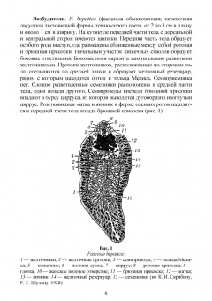 Далис Латыпов: Паразитарные болезни свиней. СПО