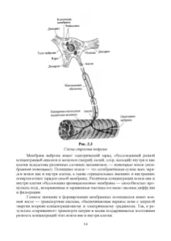 Позняковский, Дроздова, Влощинский: Физиология питания. Учебник