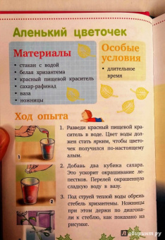 Ксения Аниашвили: Опыты и эксперименты