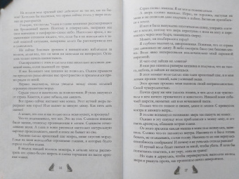 Сильвия Лайм: Академия Арктур. Невеста Волка