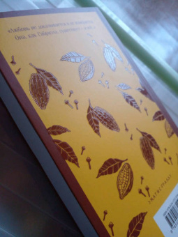 Жоржи Амаду: Габриэла, гвоздика и корица