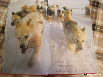 Брюс Фогл: Собаки. Полная энциклопедия