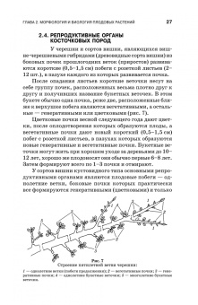 Кривко, Агафонов, Чулков: Плодоводство. Учебное пособие
