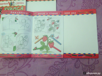 Учимся рисовать. Растения