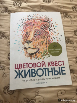Джон Вудкок: Цветовой квест. Животные. Непростые картины по номерам