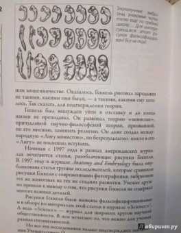 Андрей Буровский: Разные человечества. "Эволюция. Разум. Антропология"