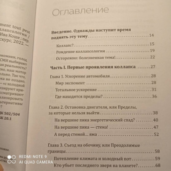 Сервинь, Стивенс: Как все может закончиться. Небольшое пособие по коллапсологии
