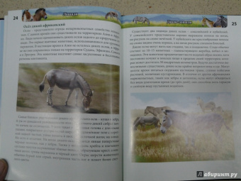 Леся Калугина: Хочу знать. Лошади