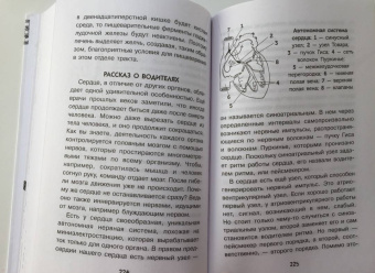 Алексей Пахневич: Увлекательная анатомия