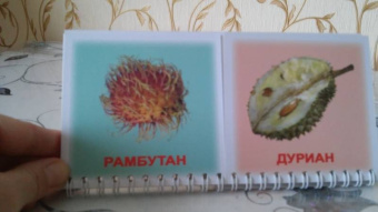 Носова, Иванова: Книга-пазл "Фрукты и дольки"
