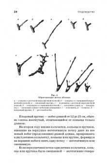 Кривко, Агафонов, Чулков: Плодоводство. Учебное пособие