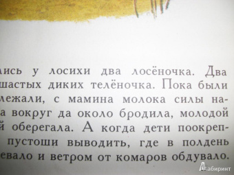 Сергей Афоньшин: Как сосна лосяток спасала