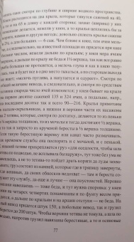 Владимир Майнов: По неведомому Русскому Северу