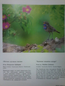 Россия - самая красивая страна. Фотоконкурс 2020