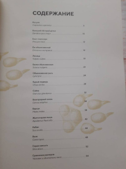 Хольгер Хааг: Лесные животные в натуральную величину