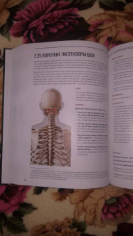 Глеб Кирдогло: Мануальное мышечное тестирование. Клинический атлас