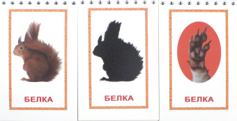 Носова, Иванова: Книга-пазл "След и тень"