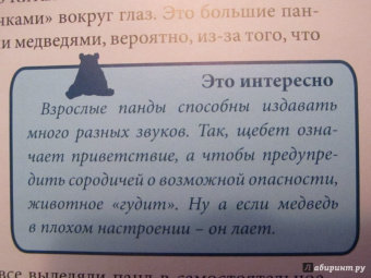 Ярослава Соколова: Хочу знать. Медведи