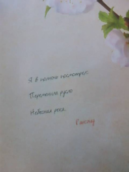 Сакура