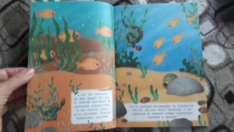 В воде и под водой. Книжка с наклейками. 2+