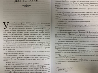 Надежда Тэффи: Кусочек жизни