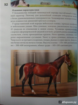 Леся Калугина: Хочу знать. Лошади