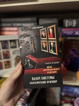 К. Сейдниязов: Палач системы - классический приговор. Книга вторая. Враг, который знает будущее