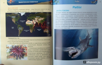 Ольга Тяжлова: Удивительные животные