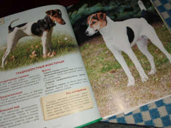 Ольга Тяжлова: Энциклопедия. Собаки