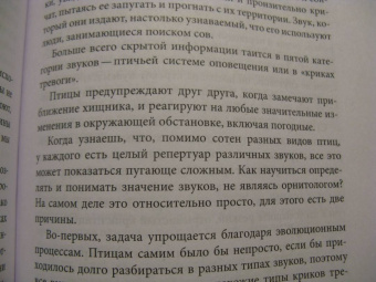 Тристан Гули: Компас внутри. Как не заблудиться в лесу, выследить животных, предсказать погоду