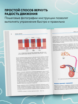 Анатомия стретчинга. Большая иллюстрированная энциклопедия