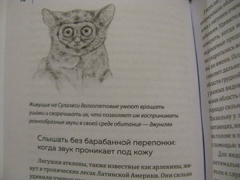 Мадлен Циге: В лесу никто не молчит. Как животные и растения общаются друг с другом