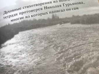 Людмила Ильюнина: Роднуша моя. Книга стихов старца Н. Гурьянова