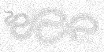 Милли Маротта: В волшебном лесу. Книга для творчества и вдохновения