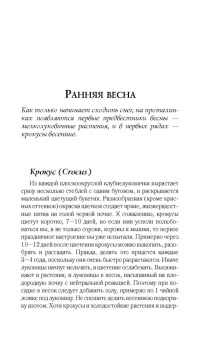 Галина Кизима: Цветник для тех, кому за... без лишних усилий