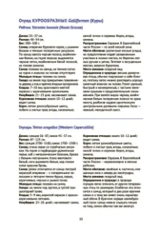 Владимир Храбрый: Птицы Европейской части России. Фотоопределитель