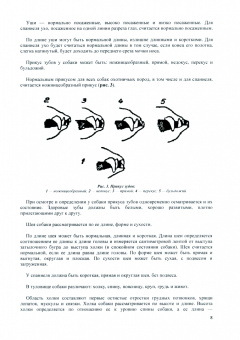 Ф. Акишин: Охота со спаниелем. Воспитание, дрессировка, натаска и охота