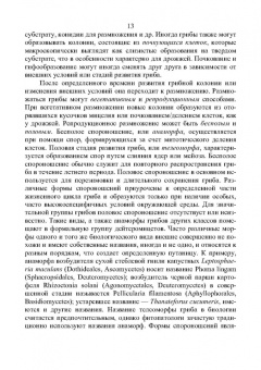 Владимир Захарычев: Грибы и фунгициды. Учебное пособие для вузов
