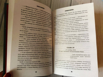 Хавьер Кастильо: Снежная девочка