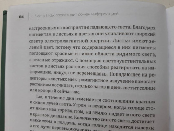 Мадлен Циге: В лесу никто не молчит. Как животные и растения общаются друг с другом