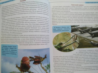 Людмила Соколова: Животный мир от А до Я