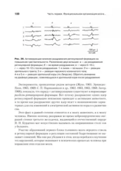 Александр Лурия: Основы нейропсихологии