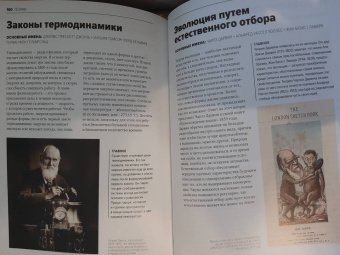 Том Джексон: Главное в истории науки. Ключевые открытия, эксперименты, теории, методы