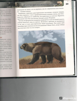 Ярослава Соколова: Хочу знать. Медведи