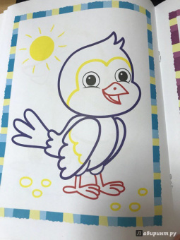 Первые птички. Книжка-раскраска