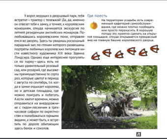 Ирина Новаш: Шотландия. Путеводитель для детей и их родителей