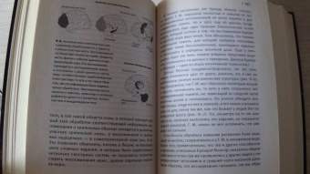 Эрик Кандель: В поисках памяти